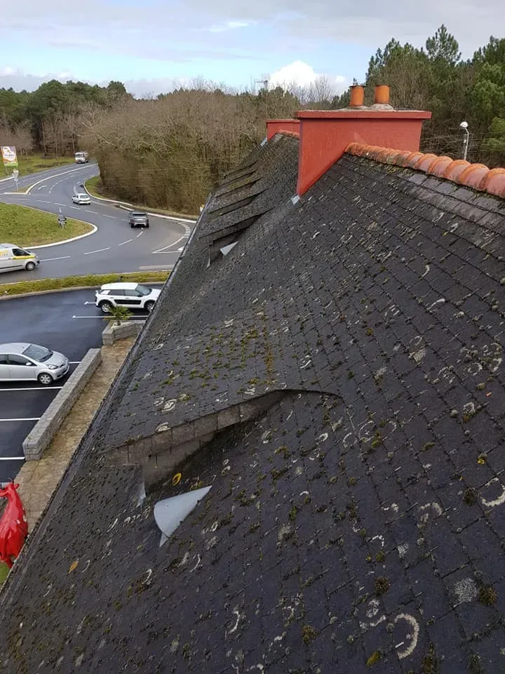 démoussage mur et toitures à Crach